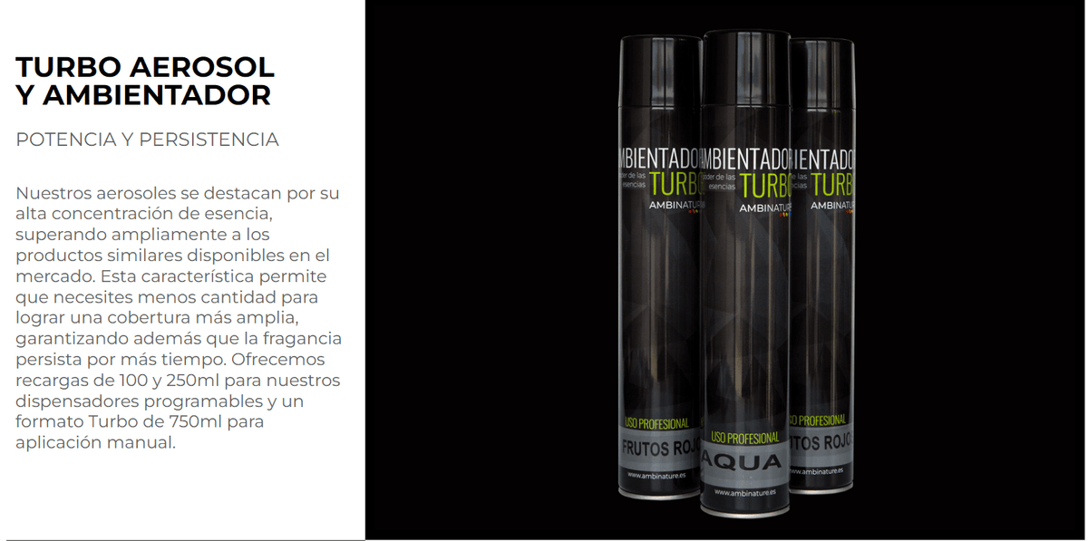 Ambientador Aerosol Turbo 750ml